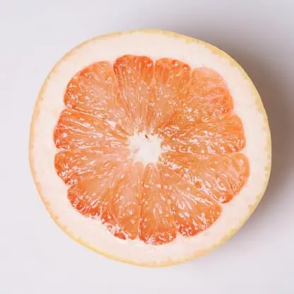 Citrus Fruit Packing Software