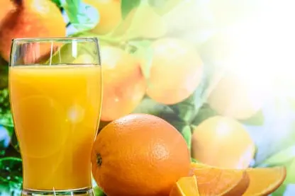 Fruit juice concentrate Fruit Packing Software