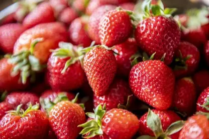 Strawberry Fruit Packing Software