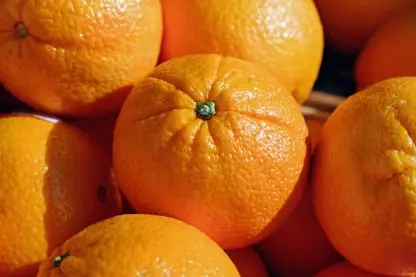 Orange Fruit Packing Software