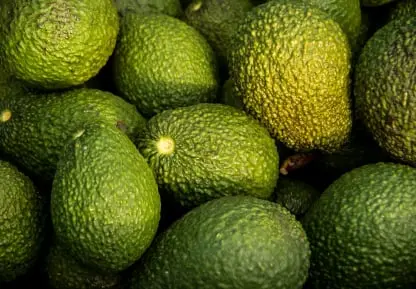 Avocado Fruit Packing Software