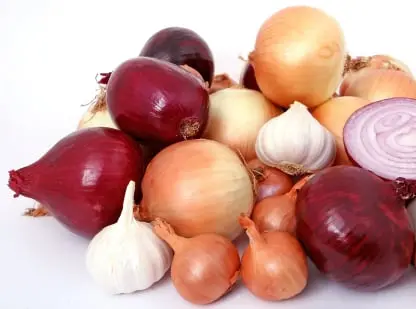 Onion inventory storage Fruit Packing Software