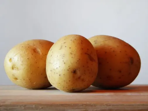 Potato inventory storage Fruit Packing Software 