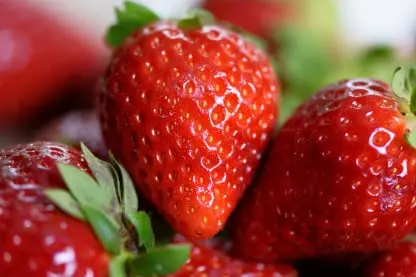 Strawberry Fruit Packing Software