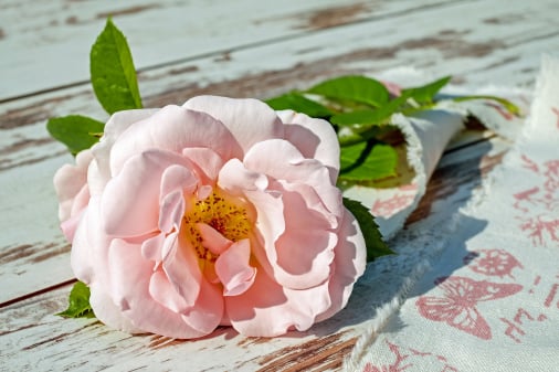 Flower packing app