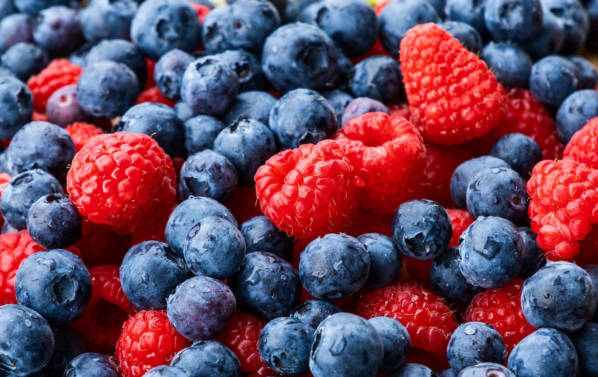  fresh produce traceability app