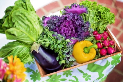 Leafy greens packing app