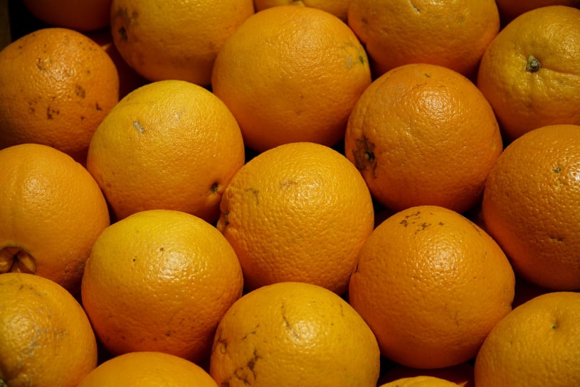 Fruit quality inspection app for packers