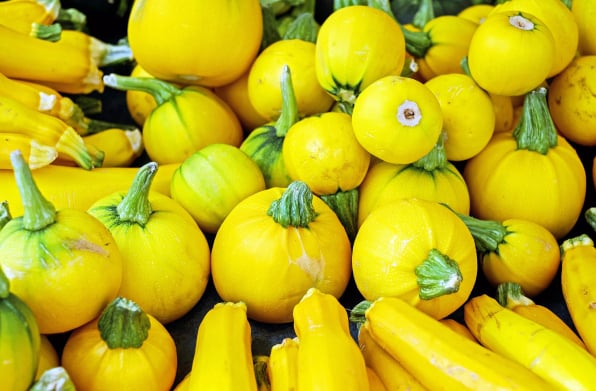 Fresh Produce Software