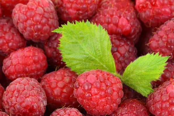 Fresh Produce Software