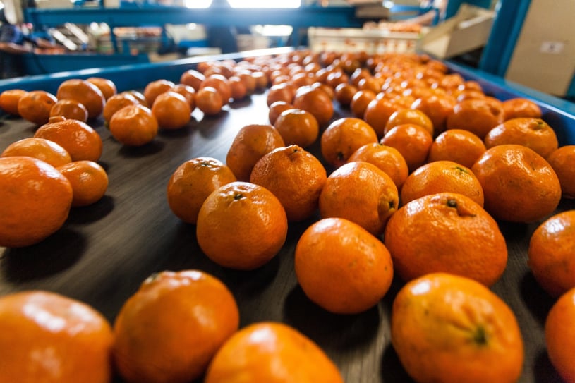 accurate production reduces errors and costs