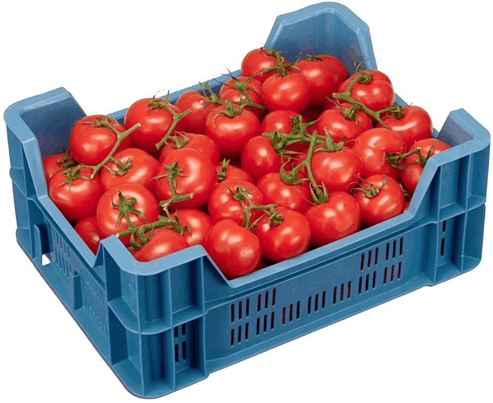 Producepak tomato packing app