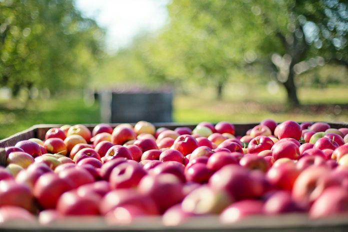 Fresh produce traceability